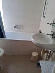 Pandan Valley (D21), Condominium #585438221
